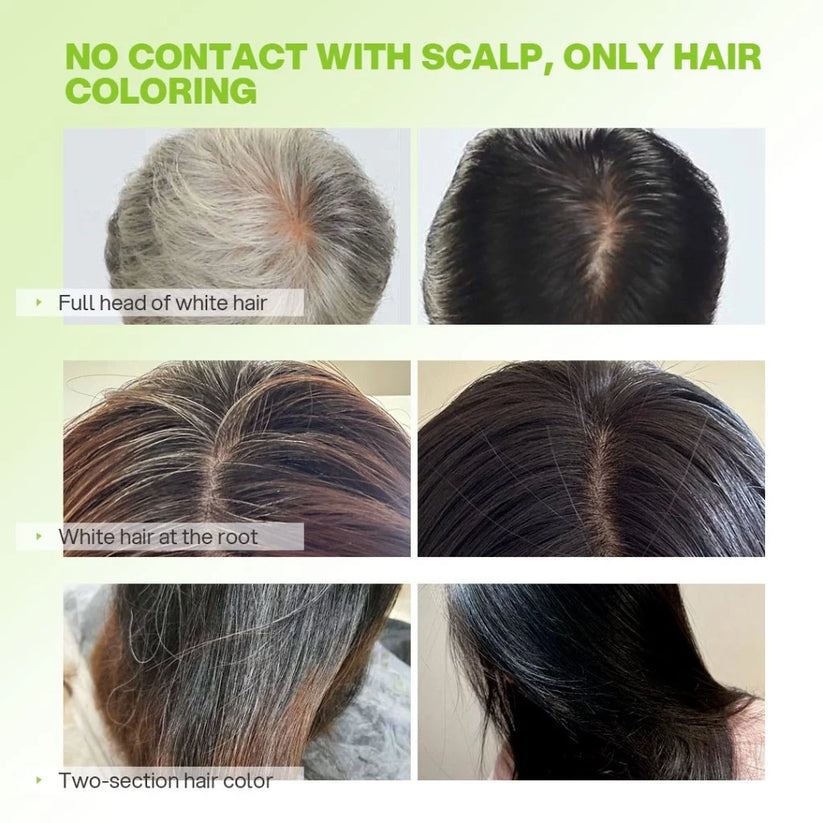 WELL HAIR Color Shampoo 2.0 Black